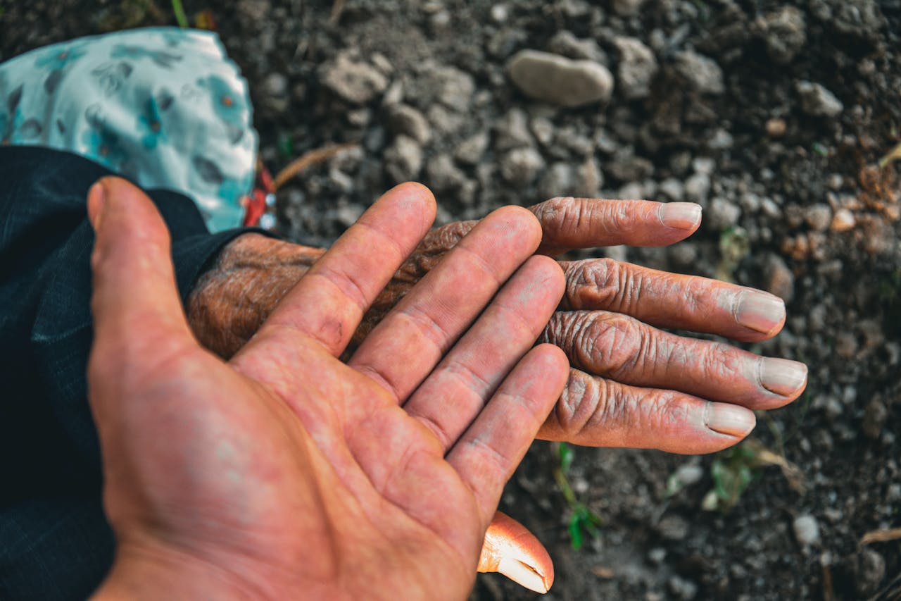 gallery-1 Close-up of young and old hands symbolizing generational connection and unity outdoors.